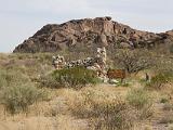 Huecas Tanks SP : New Mexico